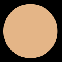 Load image into Gallery viewer, Liquid Foundation