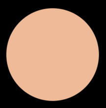 Load image into Gallery viewer, Liquid Foundation
